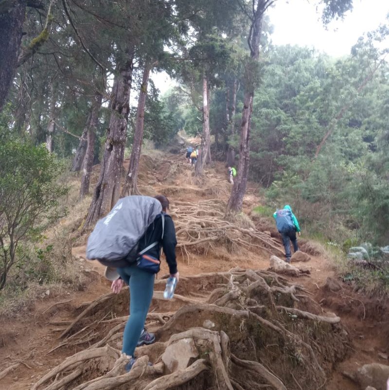 trekking_800x802