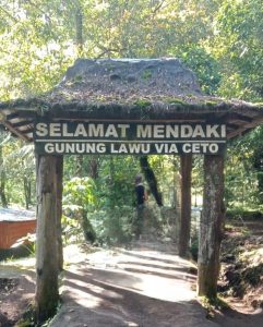 trekking_805x1002